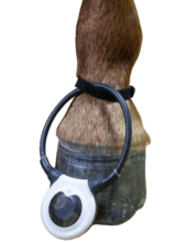 EquiLoop
