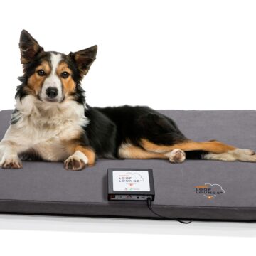 LoopLounge Medium_6892_WithDog_WithBox-7-01-25 (3) LoopLounge Medium_6892_WithDog_WithBox-7-01-25 (3)