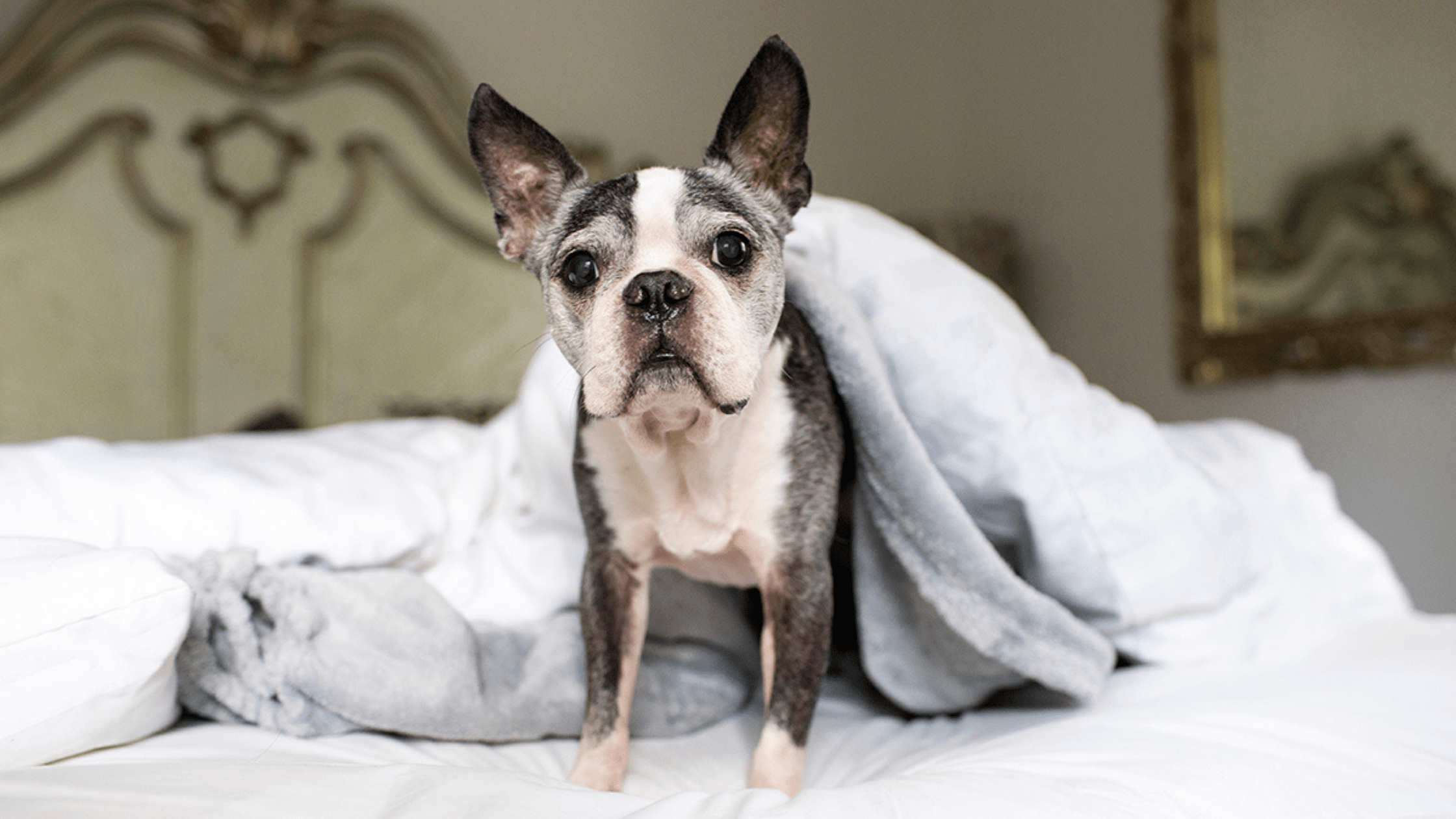 Blog Banner for Website Content (40)